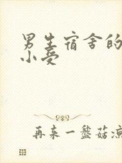 男生宿舍的公共小受