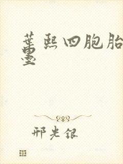 叶熙四胞胎厉子墨