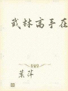 武林高手在异界