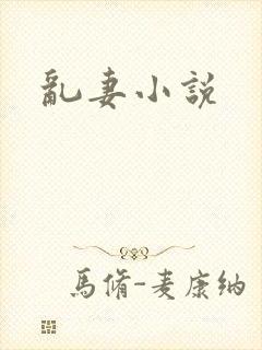 乱妻小说