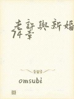 老许与新婚小倩74章