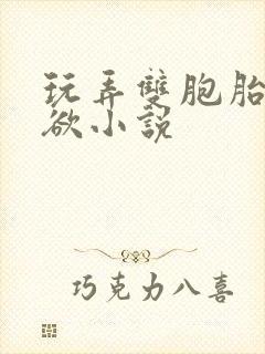 玩弄双胞胎的肉欲小说