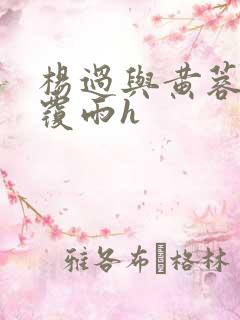 杨过与黄蓉翻云覆雨h