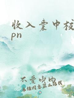 收入囊中校园hpn