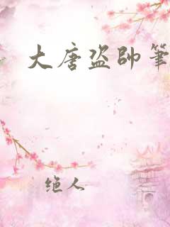 大唐盗帅笔趣阁