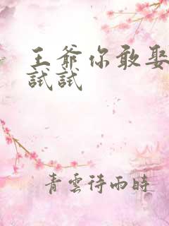 王爷你敢娶小三试试