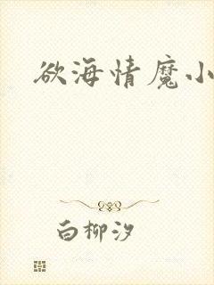 欲海情魔小说