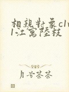 相亲对象c1v1江寓陆枝