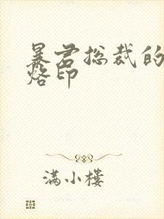 暴君总裁的狂烈烙印