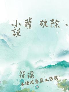小萝 破除 小说