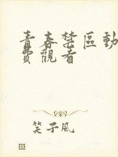 青春禁区动漫免费观看