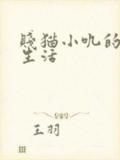 贱猫小叽的幸福生活