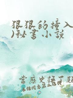 狠狠的撞入(h)秘书小说