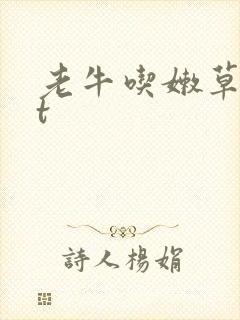 老牛吃嫩草txt