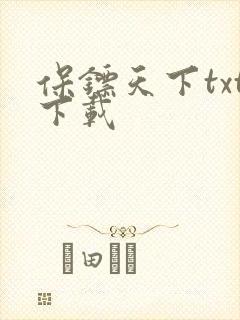 保镖天下txt下载