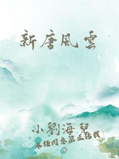 新唐风云