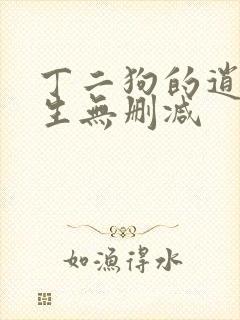 丁二狗的逍遥人生无删减