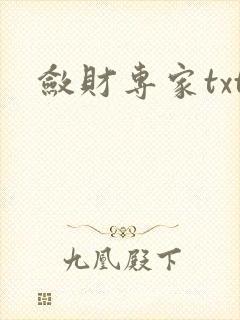 敛财专家txt