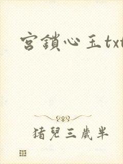 宫锁心玉txt
