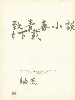 致青春小说txt下载