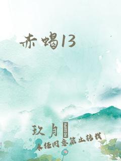 赤蝎13
