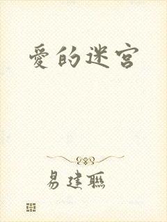 爱的迷宫