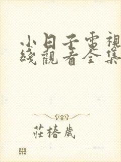 小日子电视剧在线观看全集免费高清