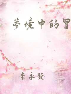 梦境中的冒险家