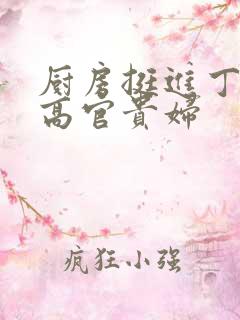 厨房挺进丁字裤高官贵妇