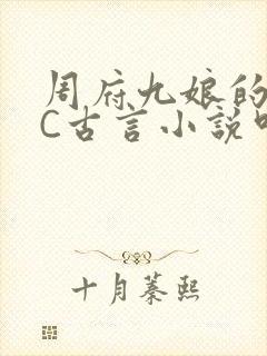 周府九娘的NPC古言小说叫什么