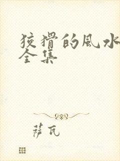 狡猾的风水相师全集