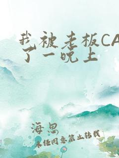 我被老板CAO了一晚上