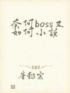 奈何boss又如何小说