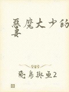 恶魔大少的小鲜妻