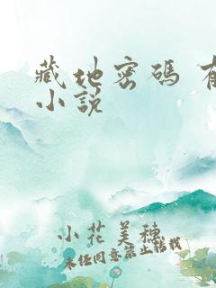 藏地密码 有声小说