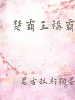 楚霸王称霸现代