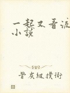 一起又看流星雨小说