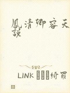 凤清卿容天凌小说