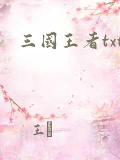 三国王者txt