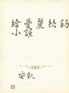 给爱丽丝的奇迹小说