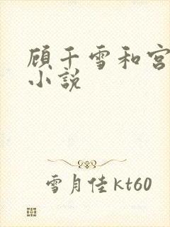 顾千雪和宫凌沨小说