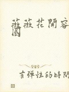 薇薇花开容颜倾国