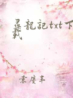 寻龙记txt下载