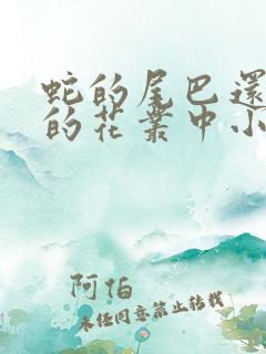 蛇的尾巴还在我的花丛中小说