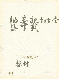 纳妾记txt全集下载