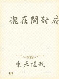 混在开封府