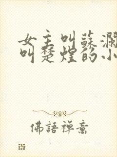 女主叫苏澜男主叫楚煜的小说