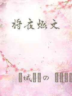 将夜燃文