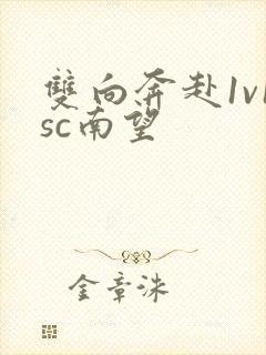 双向奔赴1v1sc南望
