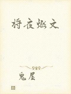 将夜燃文